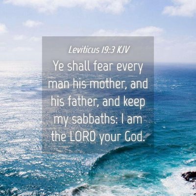 Picture 04 - Leviticus 19:3 KJV - Ye shall fear every man his mother, and his - Bible Verse Picture