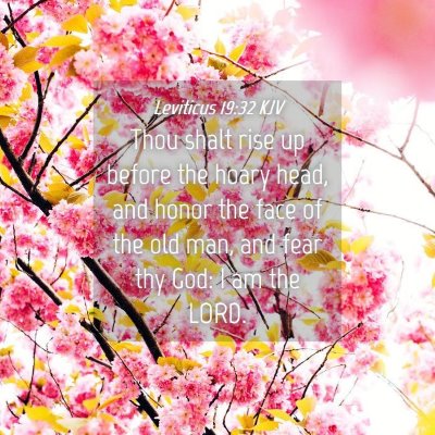 Picture 04 - Leviticus 19:32 KJV - Thou shalt rise up before the hoary head, and - Bible Verse Picture