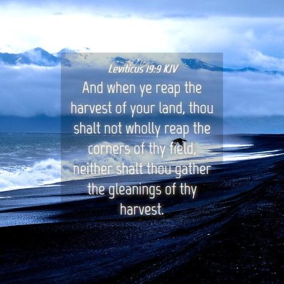 Picture 04 - Leviticus 19:9 KJV - And when ye reap the harvest of your land, thou - Bible Verse Picture