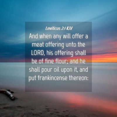 Picture 04 - Leviticus 2:1 KJV - And when any will offer a meat offering unto the - Bible Verse Picture