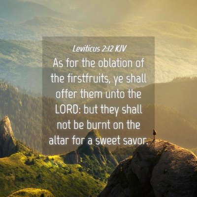 Picture 04 - Leviticus 2:12 KJV - As for the oblation of the firstfruits, ye shall - Bible Verse Picture
