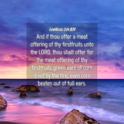 Picture 04 - Leviticus 2:14 KJV - And if thou offer a meat offering of thy - Bible Verse Picture