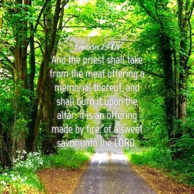 Picture 04 - Leviticus 2:9 KJV - And the priest shall take from the meat offering - Bible Verse Picture