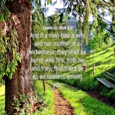 Picture 04 - Leviticus 20:14 KJV - And if a man take a wife and her mother, it is - Bible Verse Picture