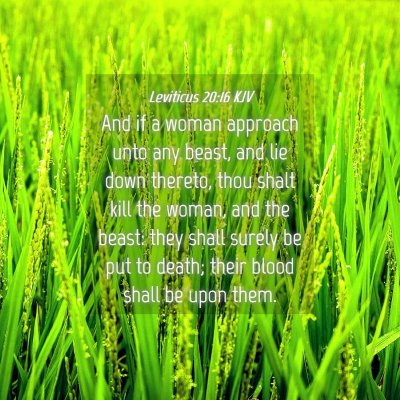 Picture 04 - Leviticus 20:16 KJV - And if a woman approach unto any beast, and lie - Bible Verse Picture