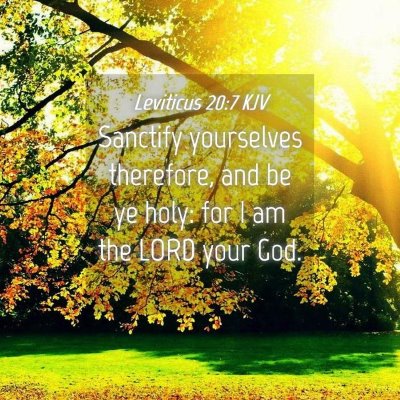 Picture 04 - Leviticus 20:7 KJV - Sanctify yourselves therefore, and be ye holy: - Bible Verse Picture