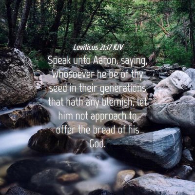 Picture 04 - Leviticus 21:17 KJV - Speak unto Aaron, saying, Whosoever he be of thy - Bible Verse Picture