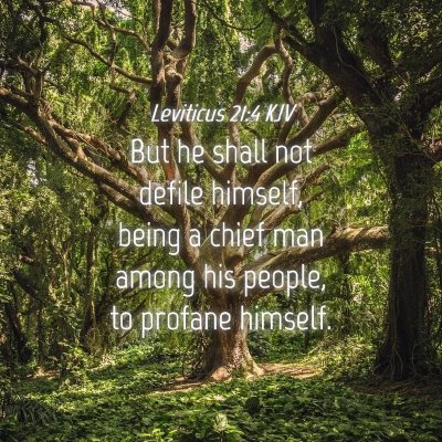 Picture 04 - Leviticus 21:4 KJV - But he shall not defile himself, being a chief - Bible Verse Picture