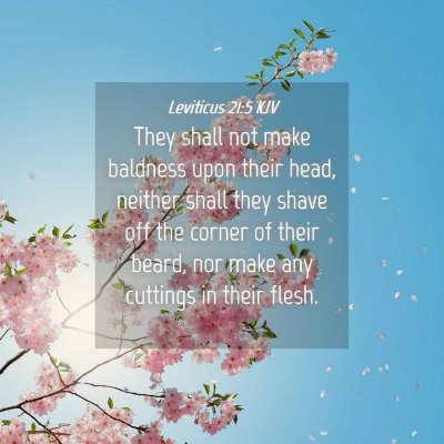Picture 04 - Leviticus 21:5 KJV - They shall not make baldness upon their head, - Bible Verse Picture