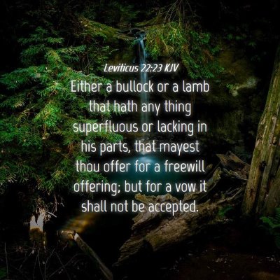 Picture 04 - Leviticus 22:23 KJV - Either a bullock or a lamb that hath any thing - Bible Verse Picture