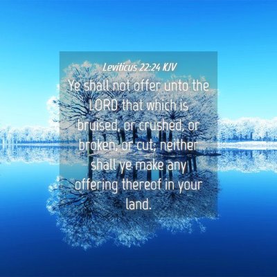 Picture 04 - Leviticus 22:24 KJV - Ye shall not offer unto the LORD that which is - Bible Verse Picture
