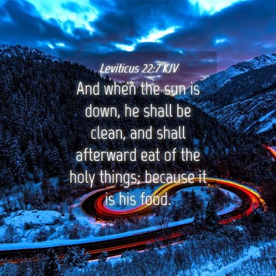 Picture 04 - Leviticus 22:7 KJV - And when the sun is down, he shall be clean, and - Bible Verse Picture