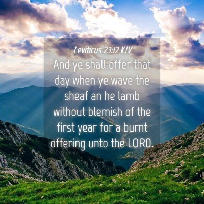 Picture 04 - Leviticus 23:12 KJV - And ye shall offer that day when ye wave the - Bible Verse Picture