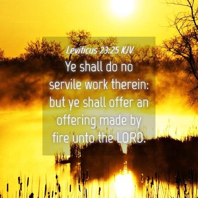 Picture 04 - Leviticus 23:25 KJV - Ye shall do no servile work therein: but ye shall - Bible Verse Picture