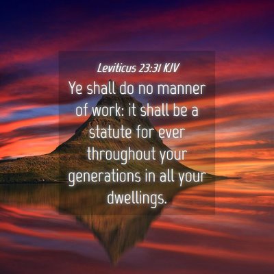 Picture 04 - Leviticus 23:31 KJV - Ye shall do no manner of work: it shall be a - Bible Verse Picture