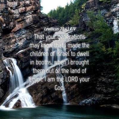 Picture 04 - Leviticus 23:43 KJV - That your generations may know that I made the - Bible Verse Picture
