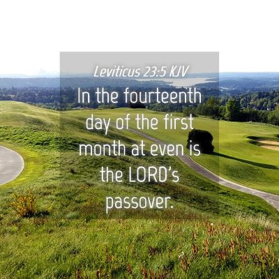 Picture 04 - Leviticus 23:5 KJV - In the fourteenth day of the first month at even - Bible Verse Picture