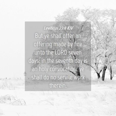 Picture 04 - Leviticus 23:8 KJV - But ye shall offer an offering made by fire unto - Bible Verse Picture