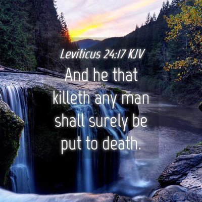 Picture 04 - Leviticus 24:17 KJV - And he that killeth any man shall surely be put - Bible Verse Picture