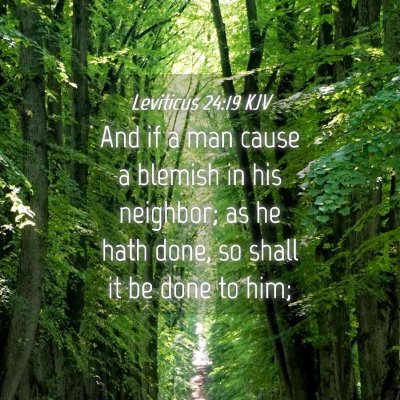 Picture 04 - Leviticus 24:19 KJV - And if a man cause a blemish in his neighbor; as - Bible Verse Picture