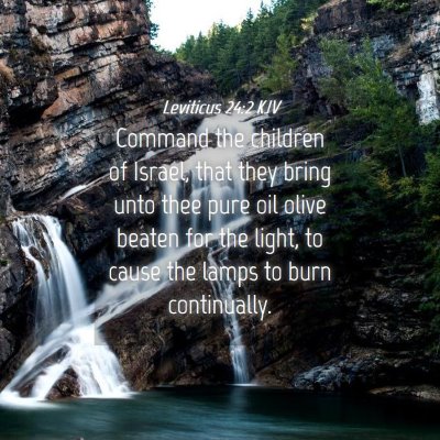 Picture 04 - Leviticus 24:2 KJV - Command the children of Israel, that they bring - Bible Verse Picture