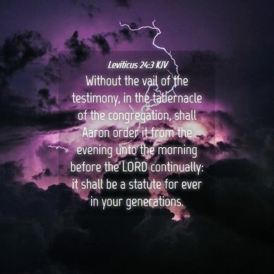 Picture 04 - Leviticus 24:3 KJV - Without the vail of the testimony, in the - Bible Verse Picture