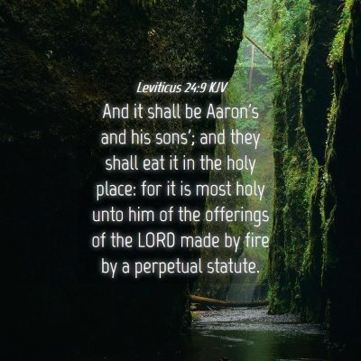 Picture 04 - Leviticus 24:9 KJV - And it shall be Aaron's and his sons'; and they - Bible Verse Picture