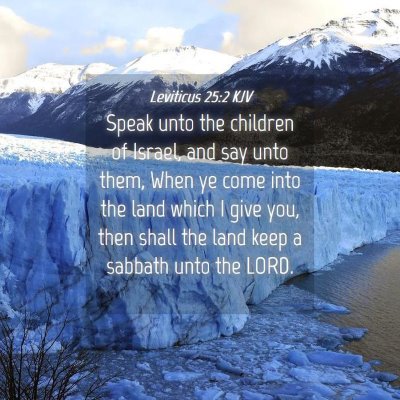 Picture 04 - Leviticus 25:2 KJV - Speak unto the children of Israel, and say unto - Bible Verse Picture