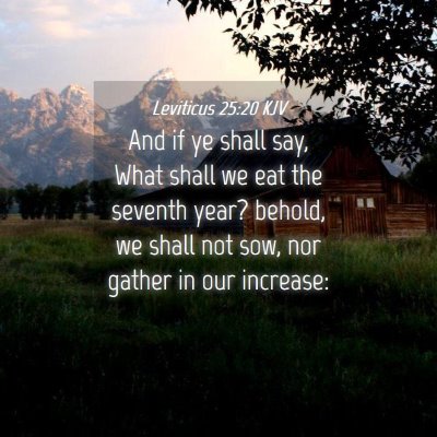 Picture 04 - Leviticus 25:20 KJV - And if ye shall say, What shall we eat the - Bible Verse Picture