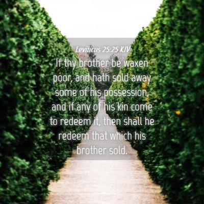 Picture 04 - Leviticus 25:25 KJV - If thy brother be waxen poor, and hath sold away - Bible Verse Picture