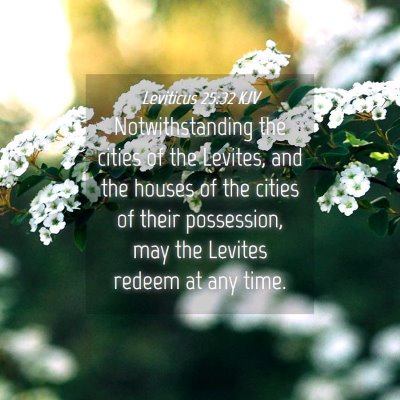 Picture 04 - Leviticus 25:32 KJV - Notwithstanding the cities of the Levites, and - Bible Verse Picture