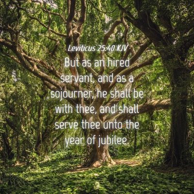 Picture 04 - Leviticus 25:40 KJV - But as an hired servant, and as a sojourner, he - Bible Verse Picture