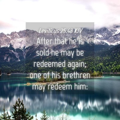Picture 04 - Leviticus 25:48 KJV - After that he is sold he may be redeemed again; - Bible Verse Picture