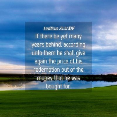 Picture 04 - Leviticus 25:51 KJV - If there be yet many years behind, according unto - Bible Verse Picture