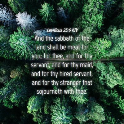 Picture 04 - Leviticus 25:6 KJV - And the sabbath of the land shall be meat for - Bible Verse Picture