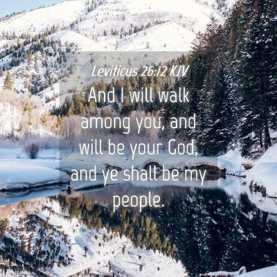 Picture 04 - Leviticus 26:12 KJV - And I will walk among you, and will be your God, - Bible Verse Picture