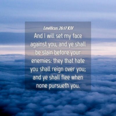 Picture 04 - Leviticus 26:17 KJV - And I will set my face against you, and ye shall - Bible Verse Picture