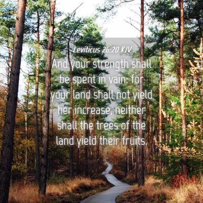 Picture 04 - Leviticus 26:20 KJV - And your strength shall be spent in vain: for - Bible Verse Picture