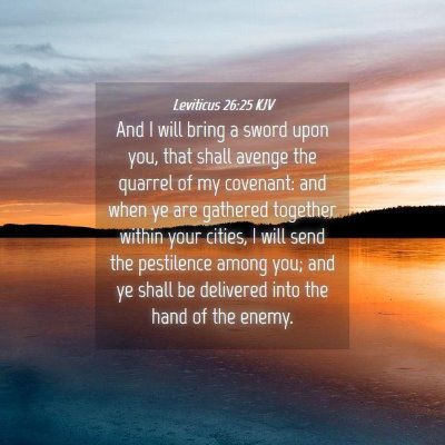 Picture 04 - Leviticus 26:25 KJV - And I will bring a sword upon you, that shall - Bible Verse Picture