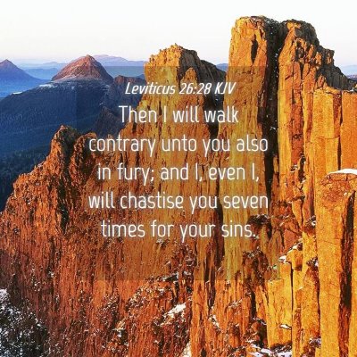 Picture 04 - Leviticus 26:28 KJV - Then I will walk contrary unto you also in fury; - Bible Verse Picture