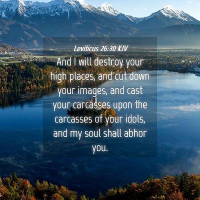 Picture 04 - Leviticus 26:30 KJV - And I will destroy your high places, and cut down - Bible Verse Picture