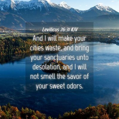 Picture 04 - Leviticus 26:31 KJV - And I will make your cities waste, and bring your - Bible Verse Picture