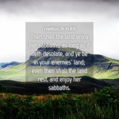 Picture 04 - Leviticus 26:34 KJV - Then shall the land enjoy her sabbaths, as long - Bible Verse Picture