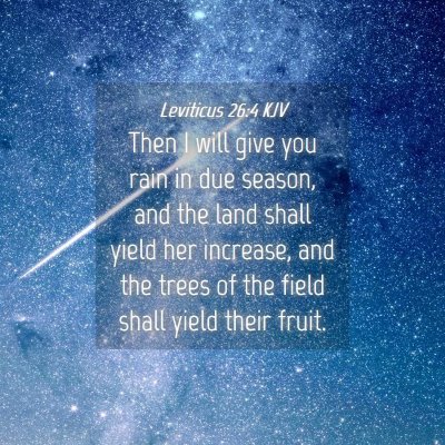 Picture 04 - Leviticus 26:4 KJV - Then I will give you rain in due season, and the - Bible Verse Picture