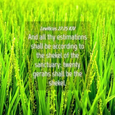Picture 04 - Leviticus 27:25 KJV - And all thy estimations shall be according to the - Bible Verse Picture