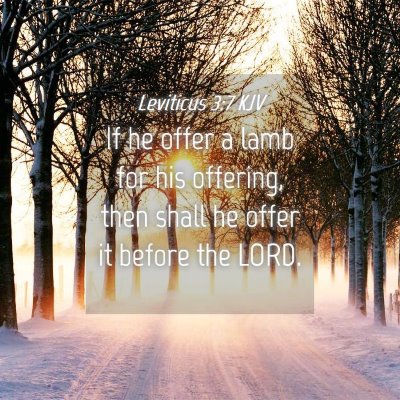 Picture 04 - Leviticus 3:7 KJV - If he offer a lamb for his offering, then shall - Bible Verse Picture