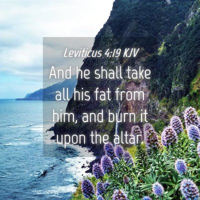 Picture 04 - Leviticus 4:19 KJV - And he shall take all his fat from him, and burn - Bible Verse Picture