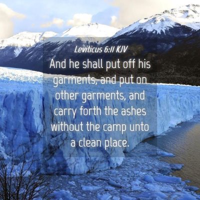 Picture 04 - Leviticus 6:11 KJV - And he shall put off his garments, and put on - Bible Verse Picture