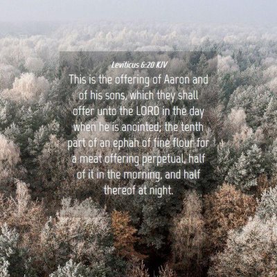 Picture 04 - Leviticus 6:20 KJV - This is the offering of Aaron and of his sons, - Bible Verse Picture