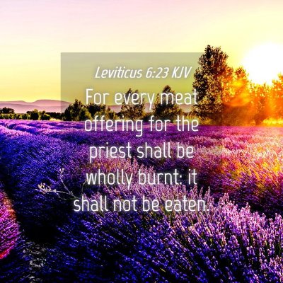 Picture 04 - Leviticus 6:23 KJV - For every meat offering for the priest shall be - Bible Verse Picture